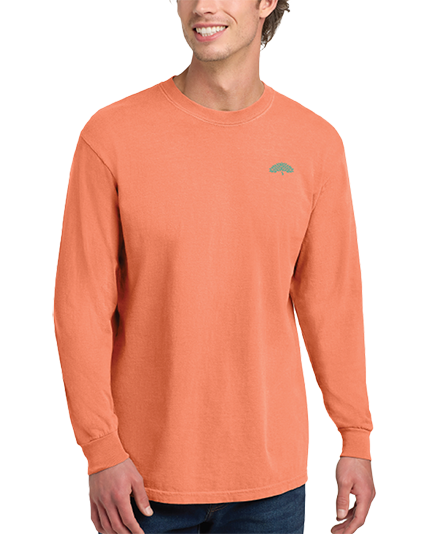 Adult Beyond Summer Long Sleeve Shirt
