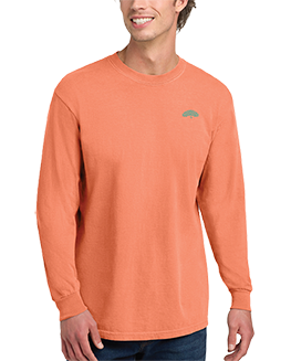 Click to view Adult Beyond Summer Long Sleeve Shirt