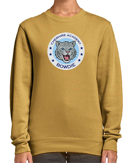 Unisex Premium Crewneck Sweatshirts