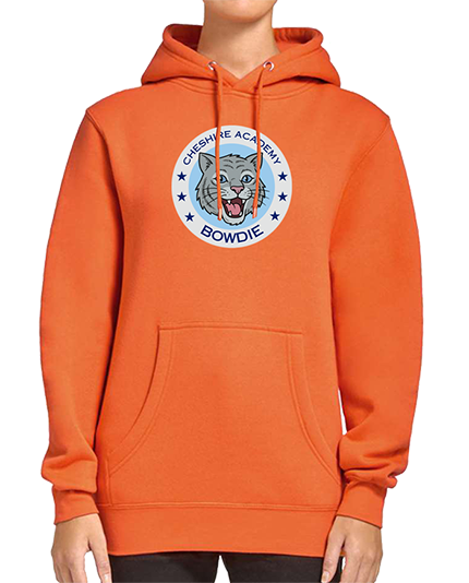 Unisex Premium Hooded Pullover Sweatshirts